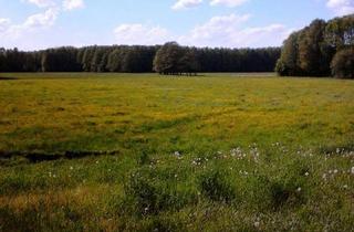 Haus kaufen in 15868 Lieberose, Lieberose - Haus in 15868 Lieberose