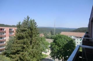 Wohnung kaufen in 38707 Altenau, Harz (LK Goslar) - Kompakte Zweizimmerwohnung für Urlaub oder langfristige Nutzung