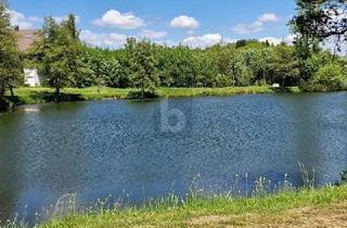 Anlageobjekt in 79737 Herrischried, Herrischried - TOP LAGE IM SÜDSCHWARZWALD