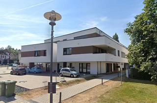 Wohnung mieten in Mittelstr. 19a, 56203 Höhr-Grenzhausen, Moderne, barrierearme 2-Zimmer-Wohnung mit Dachterrasse incl. Einbauküche