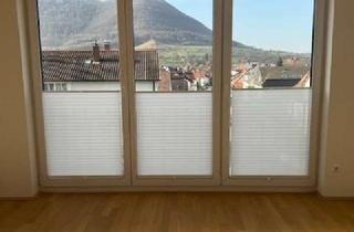 Wohnung mieten in 72581 Dettingen, Exklusive 3,5-Zimmer Wohnung im Obergeschoss mit Dachterrasse in Dettingen an der Erms