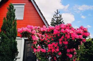 Haus kaufen in 35794 Mengerskirchen, Chance '26- Ferienhaus am See