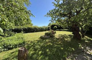 Grundstück zu kaufen in 71563 Affalterbach, Schönes Baugrundstück in Affalterbach-Birkhau