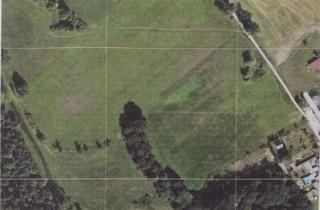 Immobilie kaufen in 39606 Osterburg, Exklusives Wiesengrundstück (provisionsfrei)