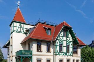 Wohnung mieten in 04575 Neukieritzsch, Große Drei-Zimmer-Wohnung in Jugendstil-Villa mit Einbauküche, Erstbezug nach Sanierung