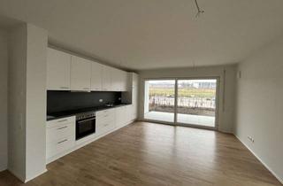 Wohnung mieten in 74653 Künzelsau, Moderne 2-Zimmer-Neubauwohnung mit Terrasse, Garten & EBK in Künzelsau-Gaisbach