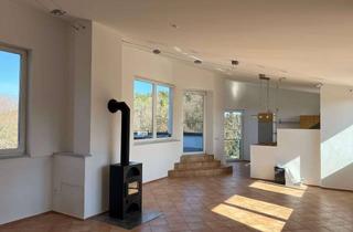 Wohnung mieten in 93164 Laaber, 2-Zimmer Maisonette-Wohnung mit schöner Dachterrasse in Waldetzenberg