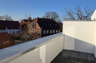 Wohnung mieten in Edemissener Straße 10, 31228 Peine, Genießen Sie den Blick über Stederdorf von der 2-Zimmer-Dachterassenwohung
