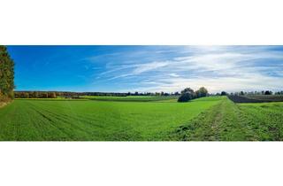 Wohnung mieten in Osterfeldstraße, 86940 Schwifting, Frisch sanierte 2 ZKB mit neuer Einbauküche