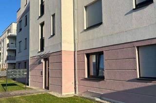 Wohnung mieten in Bertolt Brecht Allee 13, 12529 Schönefeld, Erstbezug 1,5-Zimmer Neubauwohnung in Schönefeld mit Garage