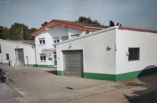 Wohnung mieten in Steinlachstraße 66, 68642 Bürstadt, Renovierte 3-Zimmer-Wohnung in Bürstadt