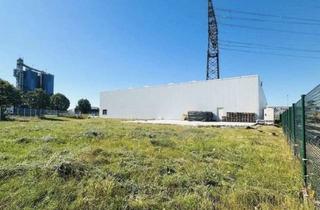 Immobilie mieten in Kohlenmühle 11, 23569 Kücknitz, 1300qm Gewerbegrundstück