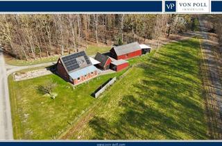 Einfamilienhaus kaufen in 27243 Winkelsett, Einfamilienhaus mit gepflegten Nebengebäuden in idyllischer Alleinlage