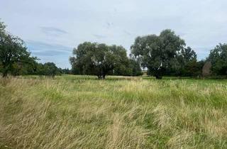 Grundstück zu kaufen in 15848 Tauche, Baugrundstück in ländlicher Lage mit unverbaubarem Blick - Provisionsfrei !