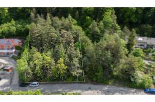 Grundstück zu kaufen in 93339 Riedenburg, Riedenburg Bestlage: 1.132 m² Hanggrundstück mit unverbaubarem Weitblick – optional gesamt 2.198 m²