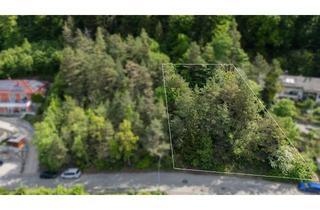 Grundstück zu kaufen in 93339 Riedenburg, Riedenburg: 1.066 m² GS mit unverbaubarem Blick – auch komplett mit 2.198 m² erhältlich