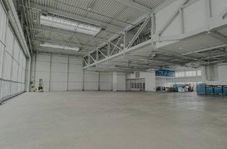 Büro zu mieten in 78579 Neuhausen, Exklusiver Hangar mit Flugfeldzugang – Werkstatt, Büro & Vorfeld | Neuhausen ob Eck