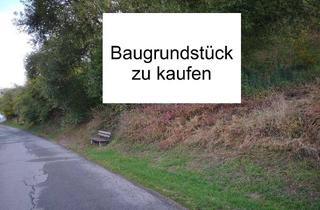 Grundstück zu kaufen in 54614 Schönecken, Schönecken - Grundstück zu verkaufen in Schönecken 16.500,00 ? 801 m²