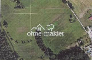 Immobilie kaufen in 39606 Osterburg, Exklusives Wiesengrundstück (provisionsfrei)