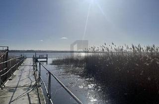 Einfamilienhaus kaufen in 17291 Prenzlau, Prenzlau - TOLLES SEEGRUNDSTÜCK MIT GROßEM ANWESEN