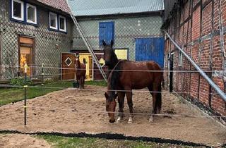 Haus kaufen in 31167 Bockenem, Bockenem - Traumhafter Hof mit Pferdehaltung - Ihr idyllisches Zuhause
