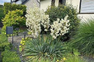 Doppelhaushälfte kaufen in 53797 Lohmar, Lohmar - Haus verkaufen