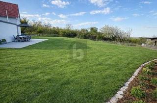 Grundstück zu kaufen in 74363 Güglingen, Güglingen - GROßES GRUNDSTÜCK IN BEGEHRTER LAGE