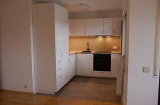 Wohnung mieten in 71277 Rutesheim, 1-Zimmer Wohnung mit Balkon und neuer Küche in Rutesheim