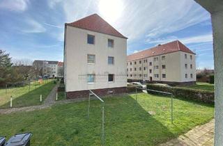 Wohnung mieten in Benzstr. 12, 06847 West, Frisch renovierte 3 Zimmer Wohnung in sanierter, ruhiger Wohnanlage