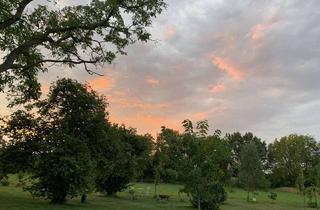 Wohnung mieten in Lechtenbergweg 29, 48165 Berg Fidel, NICHT AMELSBÜREN; MÜNSTER !! Wohnen im Grünen und doch zentral- 190 qm 1.OG 3 Schlafzimmer Balkon