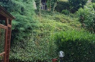 Wohnung mieten in Theodor-Frey-Straße 35, 69412 Eberbach, Etagenwohnung mit Aussicht in Eberbach zu vermieten