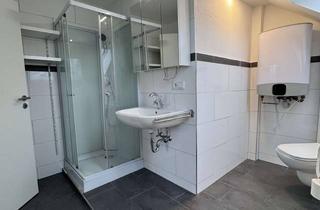 Wohnung mieten in 94081 Fürstenzell, 1-Zimmer-DG Apartment in Fürstenzell-Jägerwirth