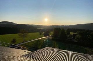 Wohnung mieten in Delleweg 21, 59955 Winterberg, 58 m² - Effizienzhaus - Erstbezug - Balkon - Aufzug - Sauna - Luftkurort - Rothaargebirge