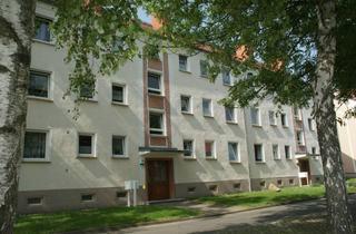 Wohnung mieten in Belgrader Str. 20, 06712 Zeitz, Neu sanierte 3 Zimmer-Wohnung