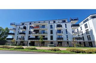 Wohnung mieten in Dürerstrasse 14 b, 55543 Bad Kreuznach, Schöne helle 2-Zimmerwohnung mit offener Küche und Balkon!