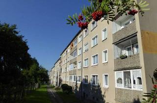 Wohnung mieten in M.-Kloß-Str. 12, 02727 Neugersdorf, Wir sanieren für Sie!