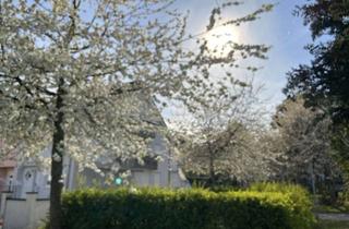 Wohnung mieten in Eugen-Geck-Str. 5c, 76189 Oberreut, Charmantes möbliertes Apartment zum Erstbezug