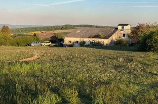 Haus kaufen in 37186 Moringen, Seltene Gelegenheit; Grundstück mit Flughangar und Wohnung!