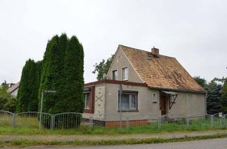 Einfamilienhaus kaufen in Alte Dorfstraße, 18516 Süderholz, Einfamilienhaus auf 1.923 m² großem Grundstück, Naturgarten mit alten Bäumen und viel Potenzial