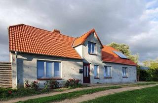 Haus kaufen in 25889 Witzwort, Mit Highspeed auf dem Deich