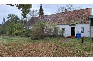 Einfamilienhaus kaufen in Dörpstraat, 29481 Karwitz, Verkauft wird ein Einfamilienhaus mit Nebengelass und Scheune
