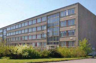 Gewerbeimmobilie mieten in 18507 Grimmen, GÜNSTIG STARTEN, FLEXIBLE WACHSEN, IHR ERFOLG