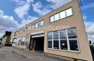 Gewerbeimmobilie kaufen in 31177 Harsum, Gewerbeliegenschaft mit Mehrfamilienhaus in Harsum