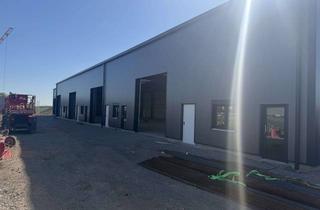 Büro zu mieten in Schultze-Delitzsch-Straße 19, 68542 Heddesheim, Moderne Neubau-Gewerbehalle ca. 215 m² | 6,5 m Höhe | 4,20 m Tor | Büro & Sozialräume | Erstbezug