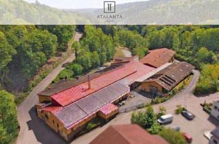 Gewerbeimmobilie mieten in Straßburg 18, 69483 Wald-Michelbach, 720 m² Lagerhalle | Mietfrei starten & von regionalen Netzwerken profitieren