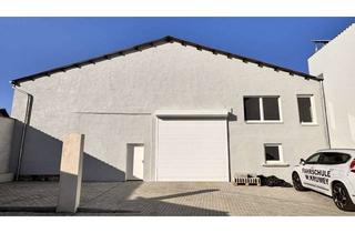 Gewerbeimmobilie mieten in 34355 Staufenberg, PROVISIONSFREI: Eine Halle, viele Möglichkeiten