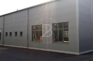 Büro zu mieten in 64347 Griesheim, "BAUMÜLLER AG" - ca. 1.200 qm Lagerhalle + ca. 350 qm Büro