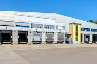 Gewerbeimmobilie mieten in 66539 Neunkirchen, HONORARFREI | Hallenfläche ca. 5.000 m² | KURZFRISTIG