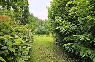 Grundstück zu kaufen in 34346 Hann. Münden, Seltene Gelegenheit - Gartenland mit Potential