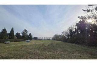 Grundstück zu kaufen in 16833 Fehrbellin, Natur genießen – Baugrundstück in ruhiger Lage